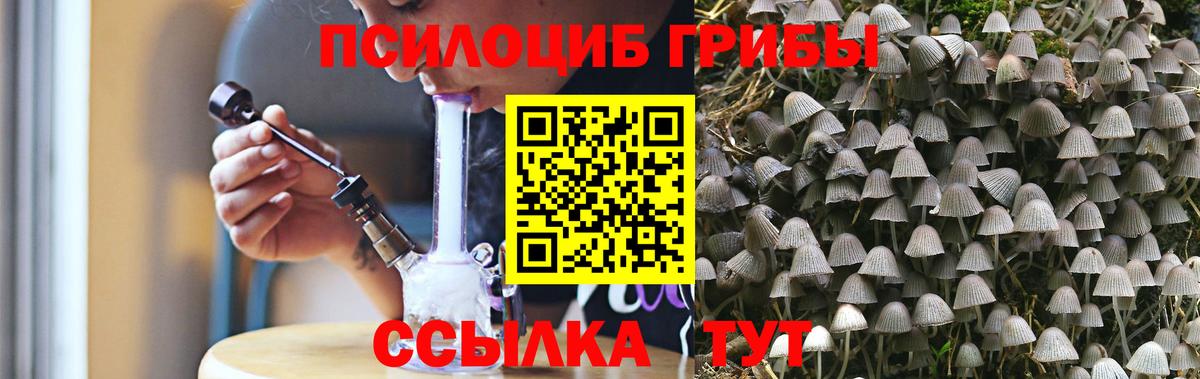 Галлюциногенные грибы MAGIC MUSHROOMS  Вход с VPN  Люберцы 